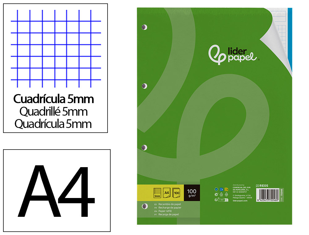 Recambio liderpapel a4 100 hojas 100g/m2 cuadro 5mm 4 taladros bandas de 5 colores