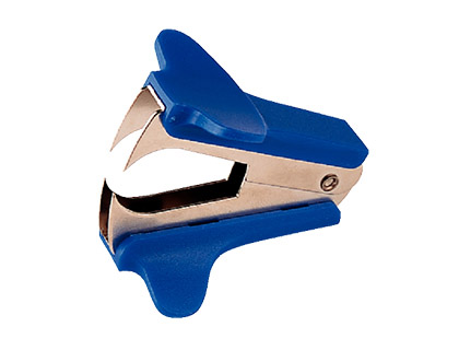 Extraegrapas petrus 111